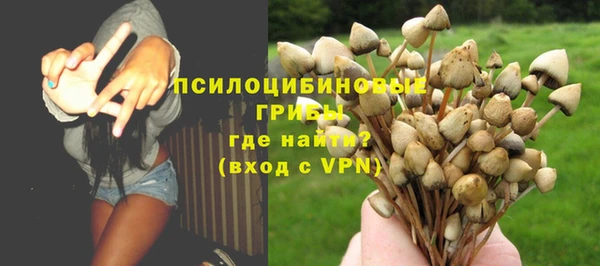 гашик Инсар