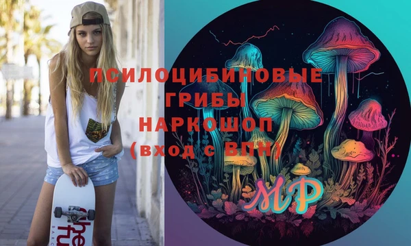 шишки Зерноград