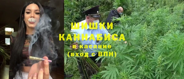 молекула духа Зеленодольск