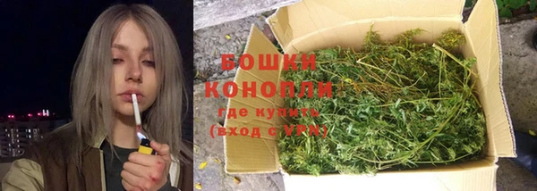 молекула духа Зеленодольск