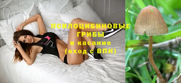 молекула духа Зеленодольск